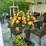 Muehlentor Hotel 3*