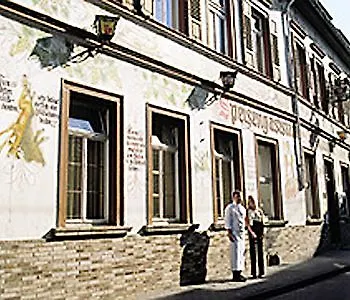 Otel Bc Mit Restaurant Muehlentor