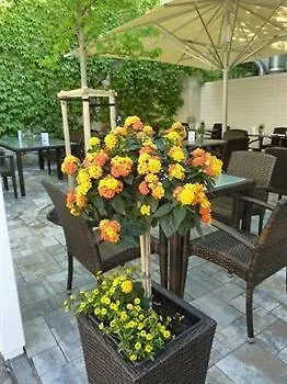 Bc Mit Restaurant Muehlentor 酒店 3*